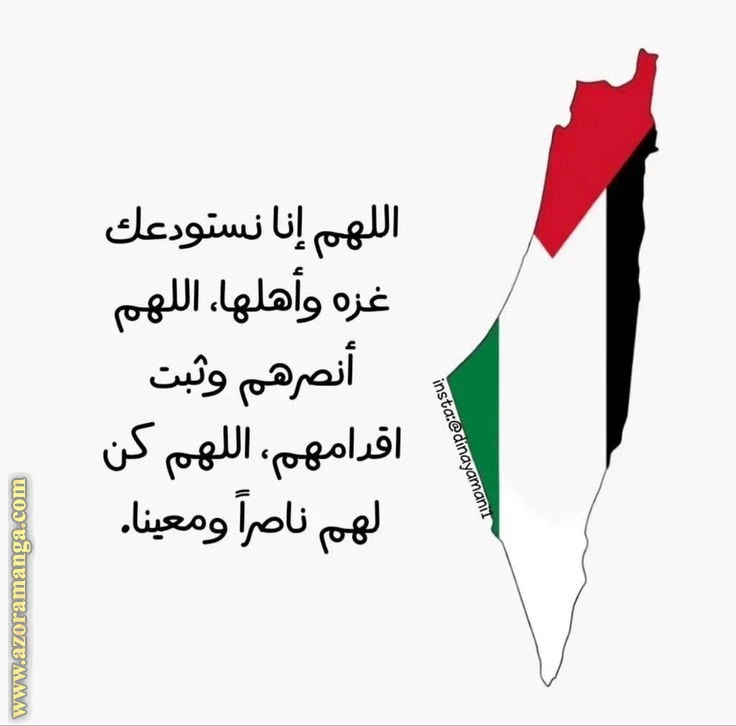 الصفحة 16