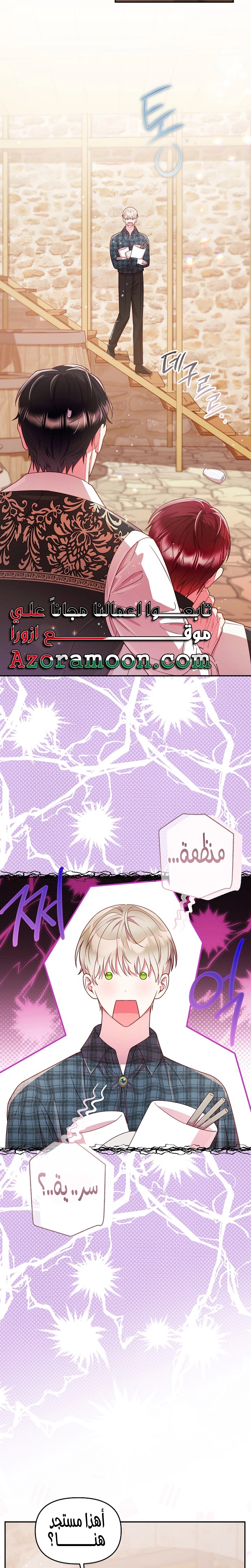 الصفحة 19