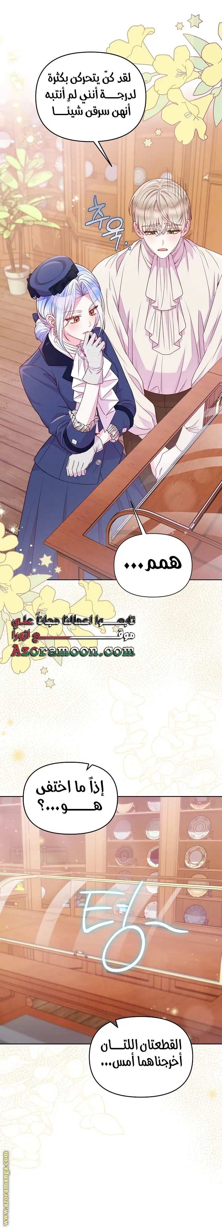 الصفحة 17