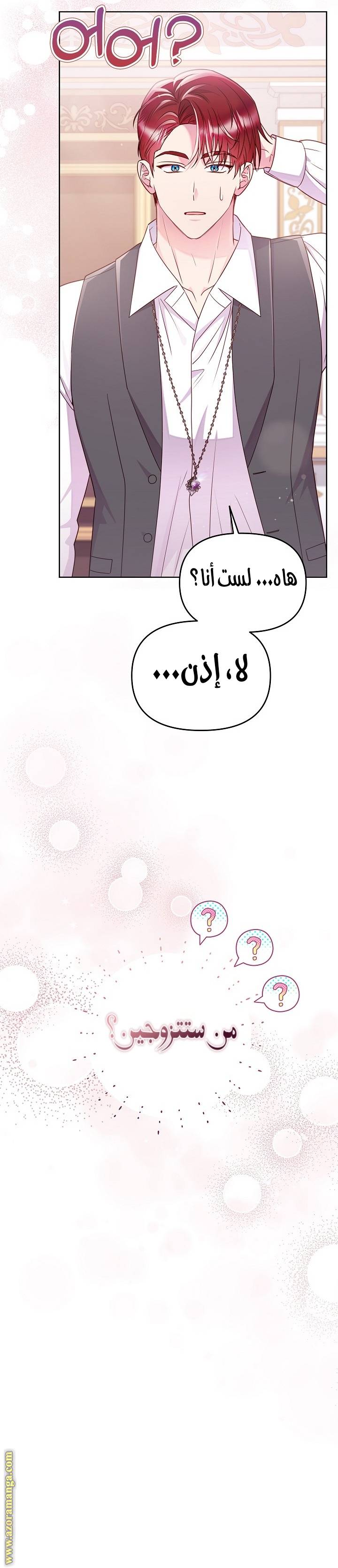 الصفحة 26