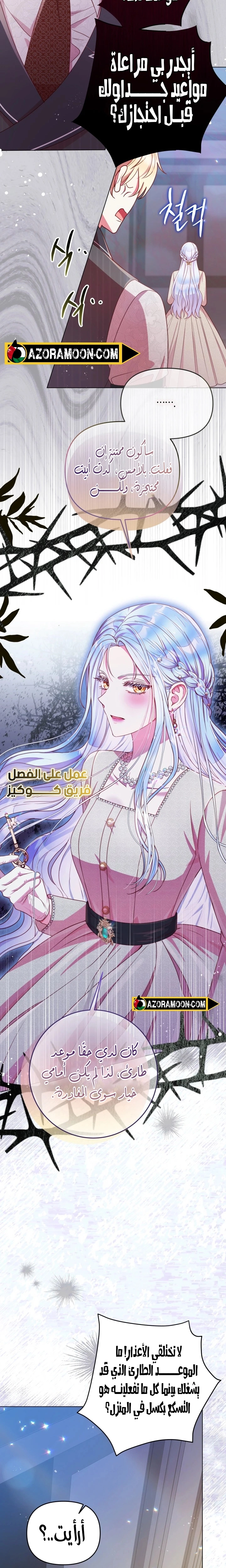 الصفحة 17