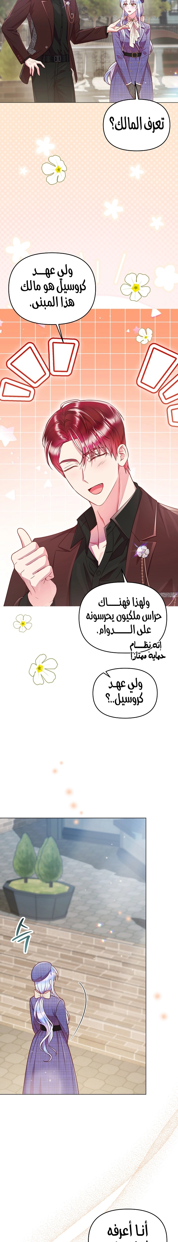 الصفحة 17
