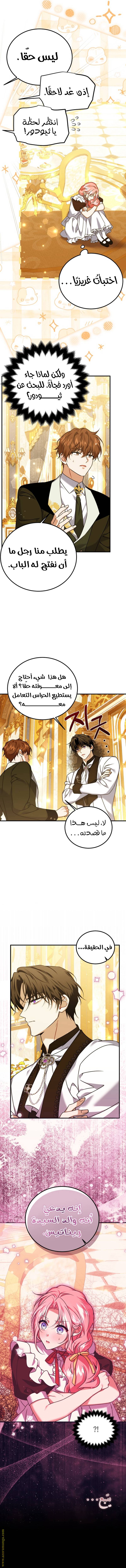 الصفحة 15
