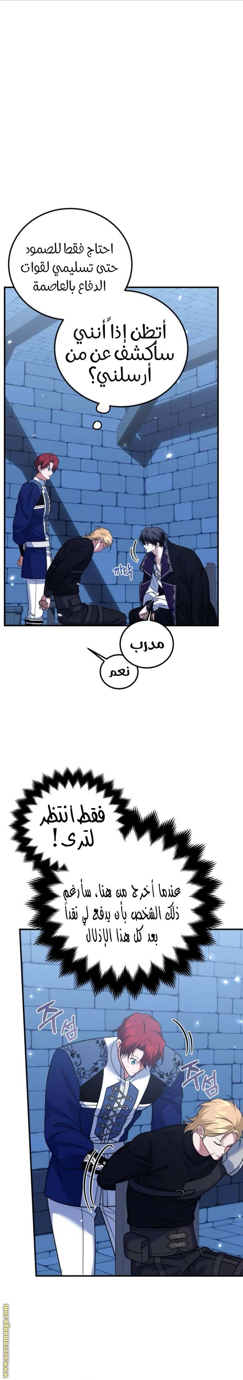 الصفحة 11