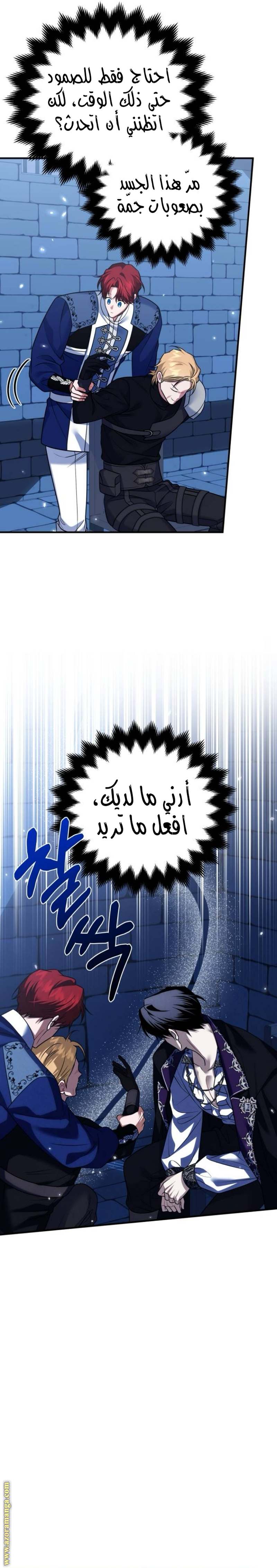 الصفحة 12