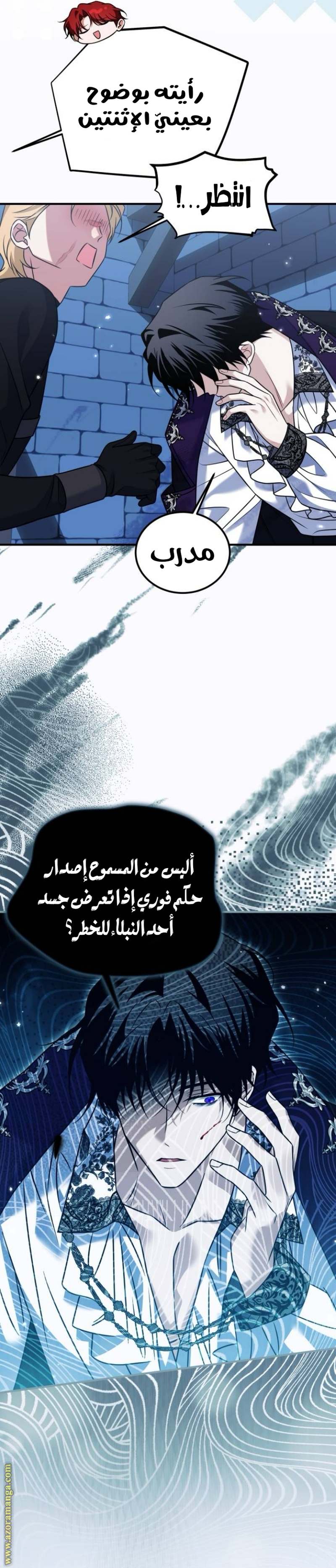 الصفحة 15