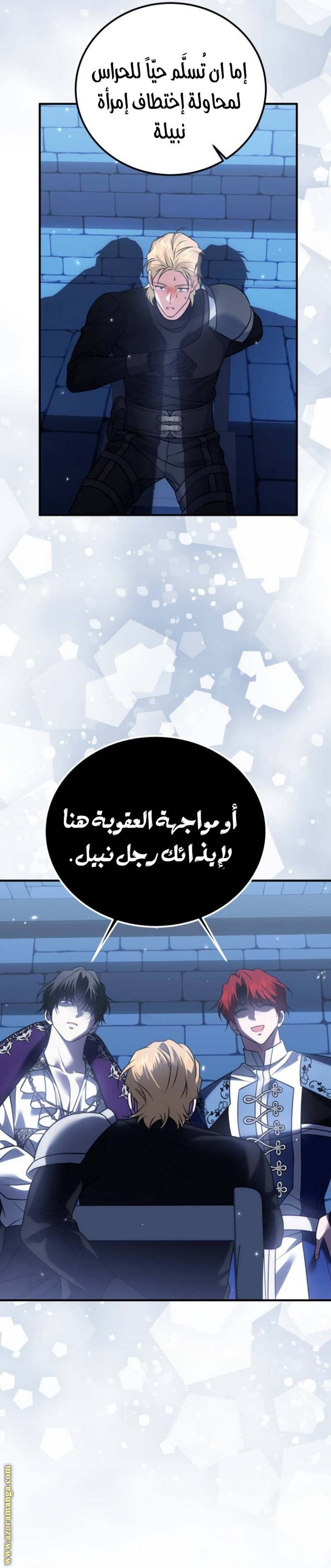 الصفحة 17