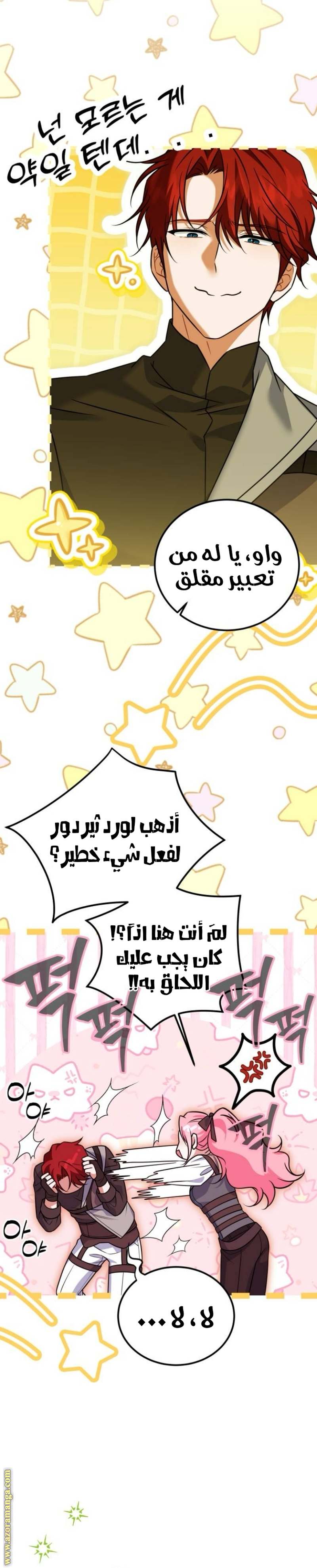 الصفحة 20