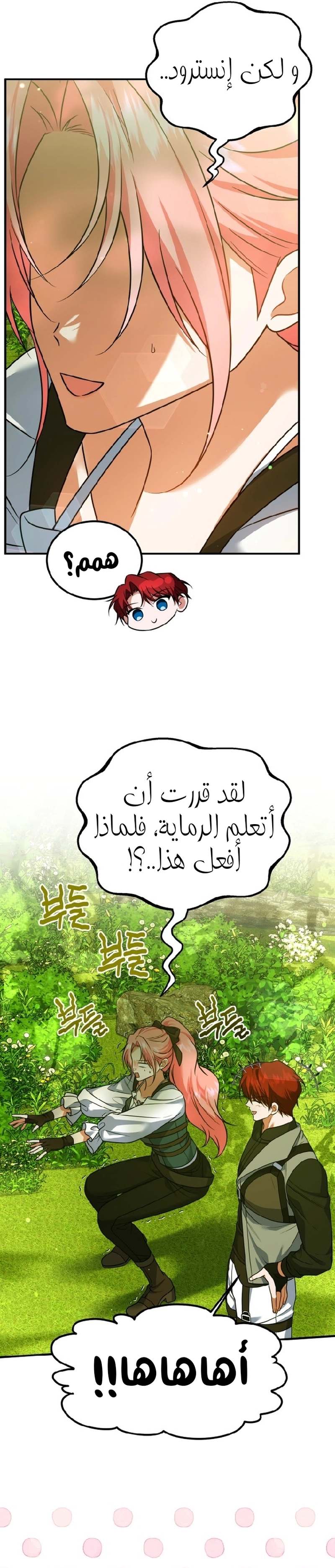الصفحة 13
