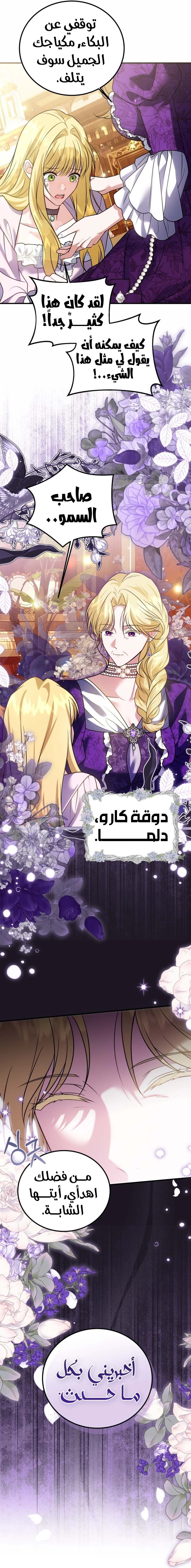 الصفحة 24