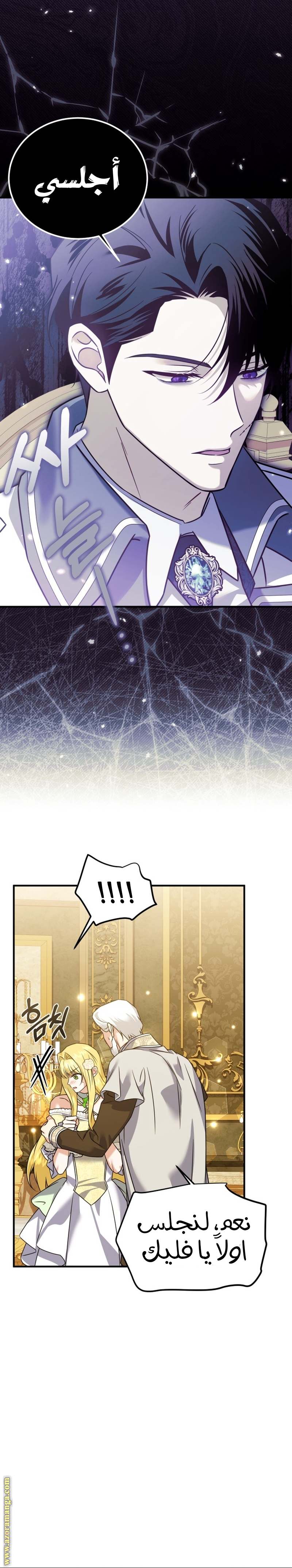 الصفحة 13