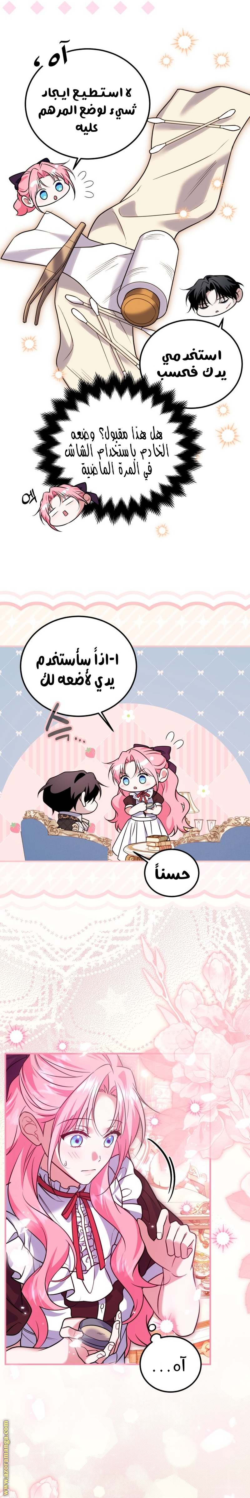 الصفحة 25