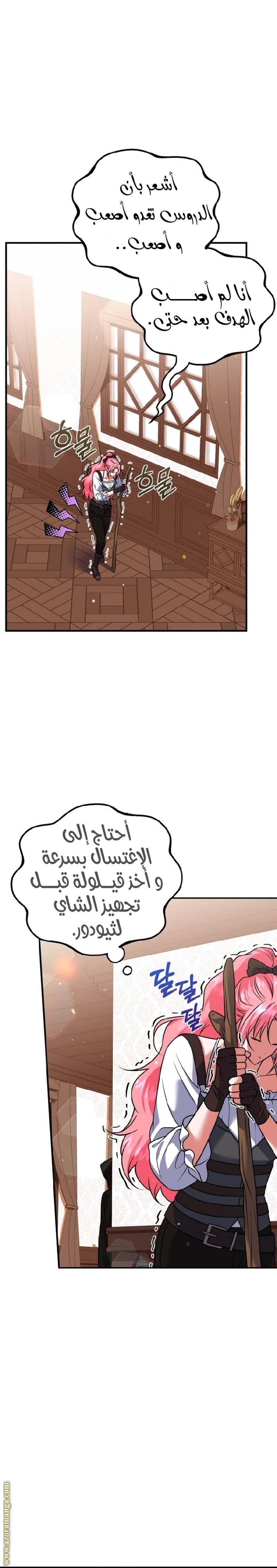 الصفحة 13