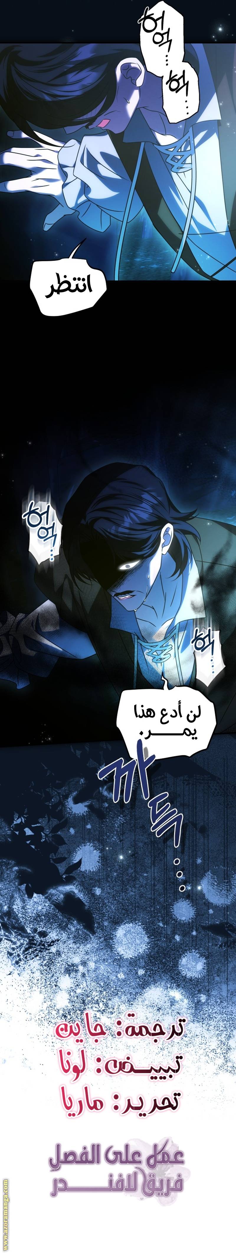 الصفحة 13