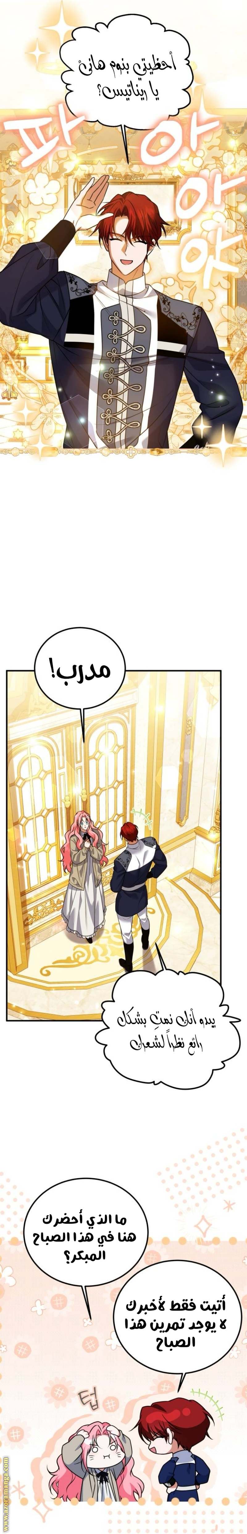 الصفحة 17