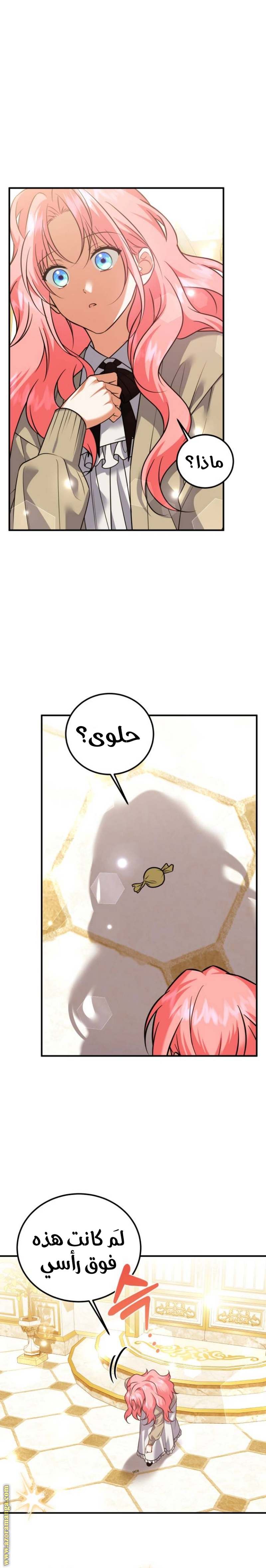 الصفحة 22
