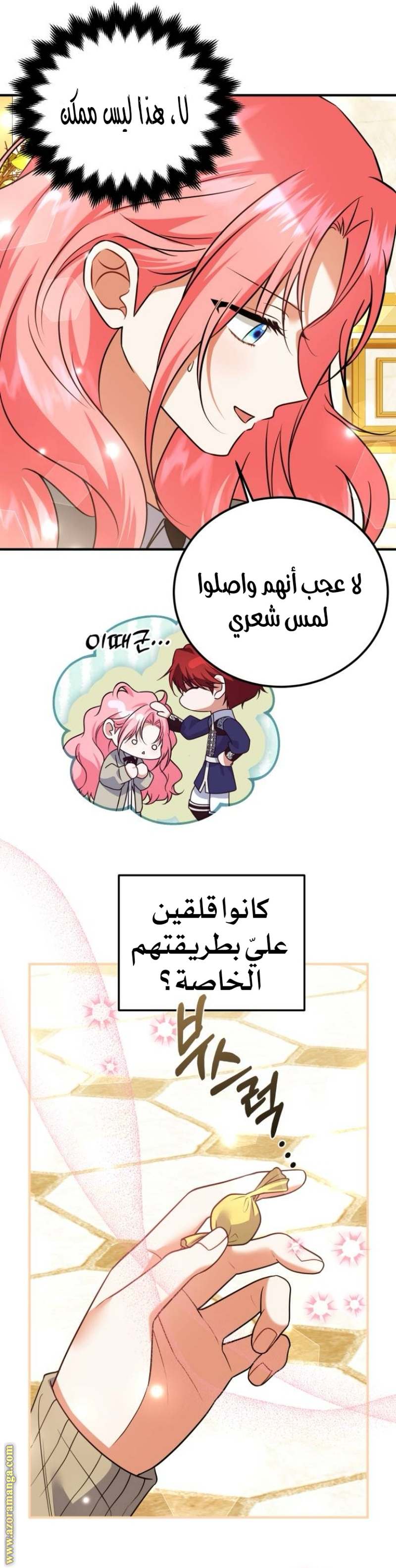 الصفحة 24