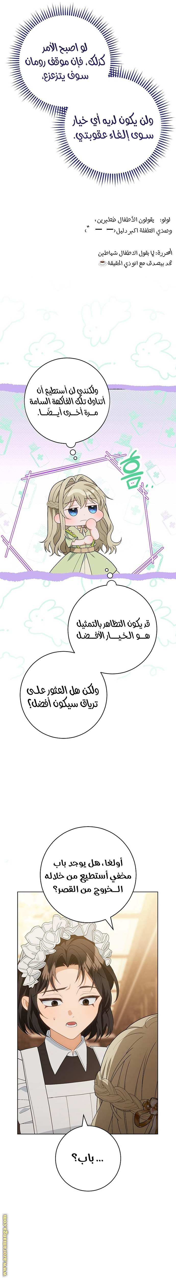 الصفحة 17