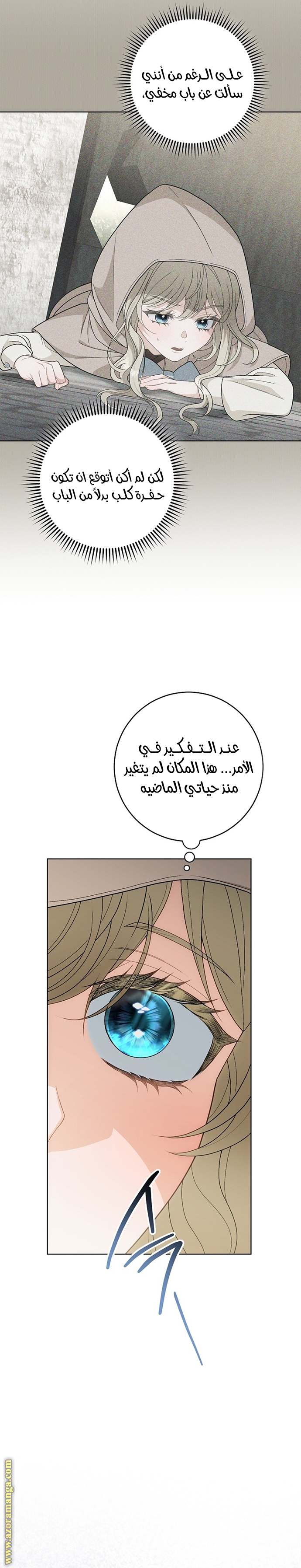 الصفحة 19
