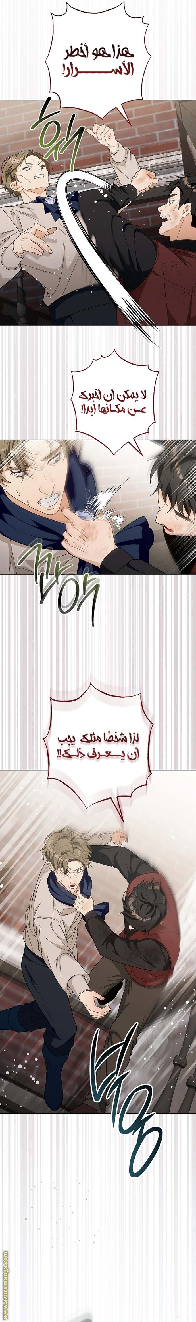الصفحة 27