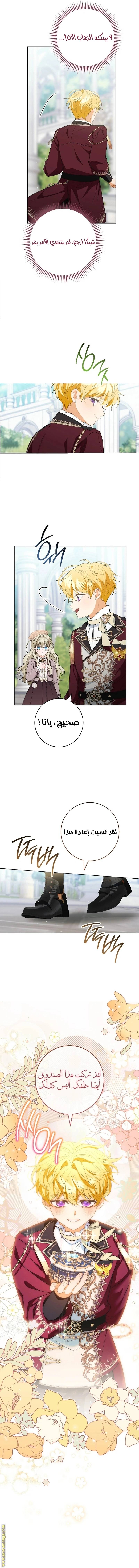 الصفحة 11