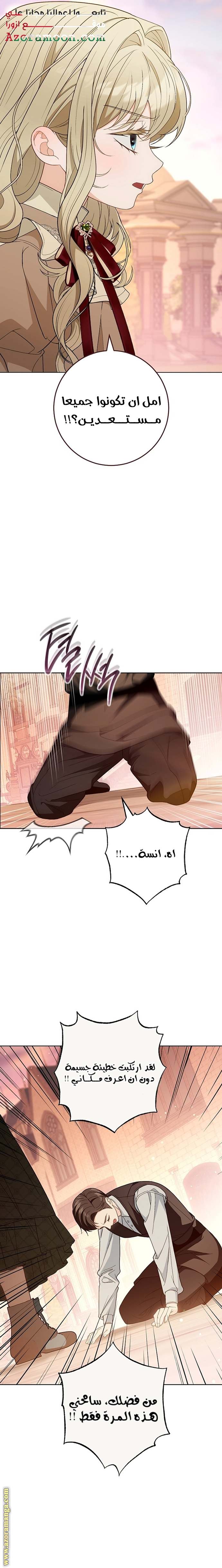 الصفحة 17