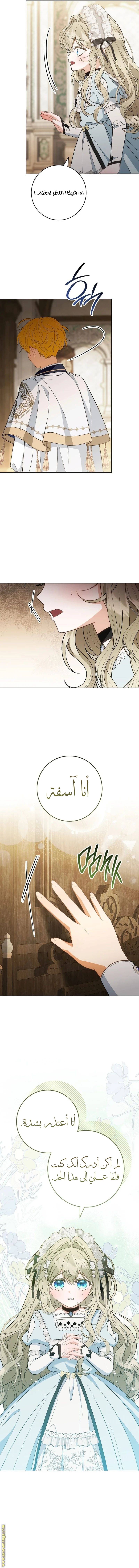 الصفحة 11