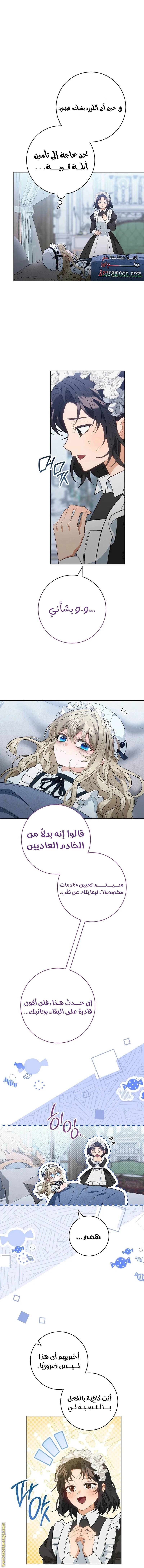 الصفحة 12