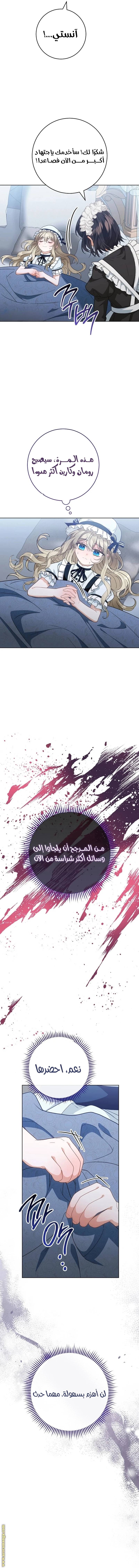 الصفحة 13