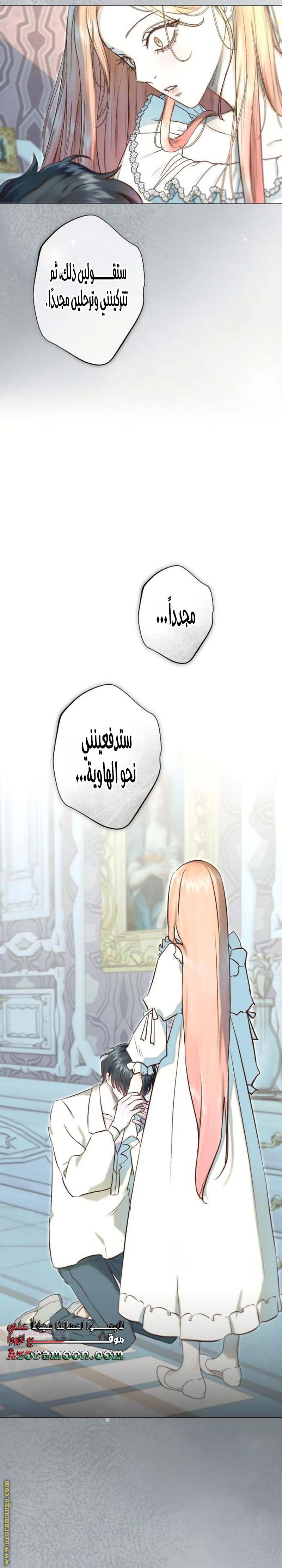 الصفحة 17