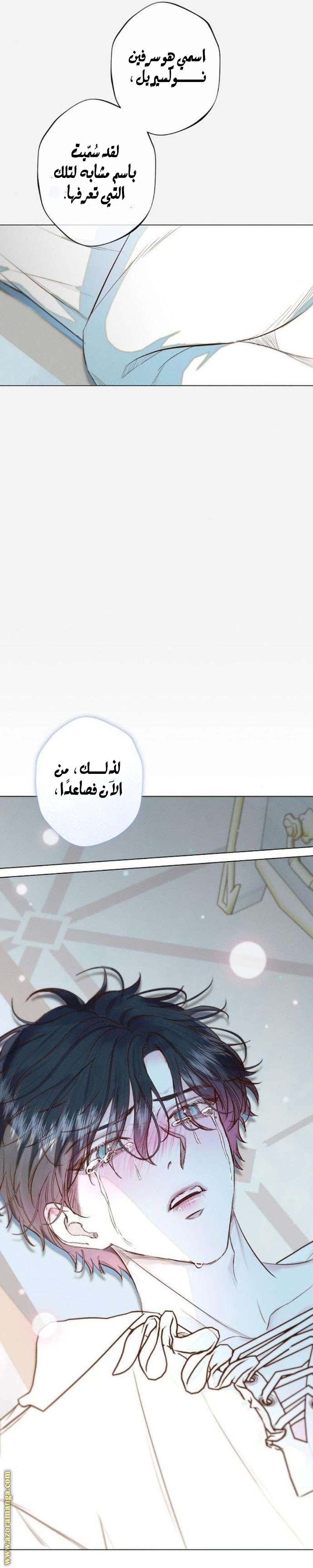 الصفحة 19