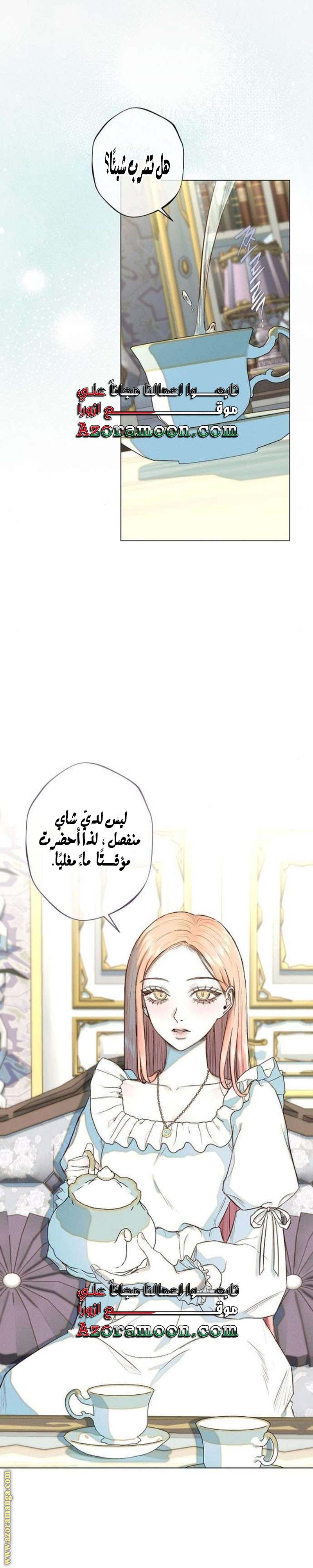 الصفحة 21