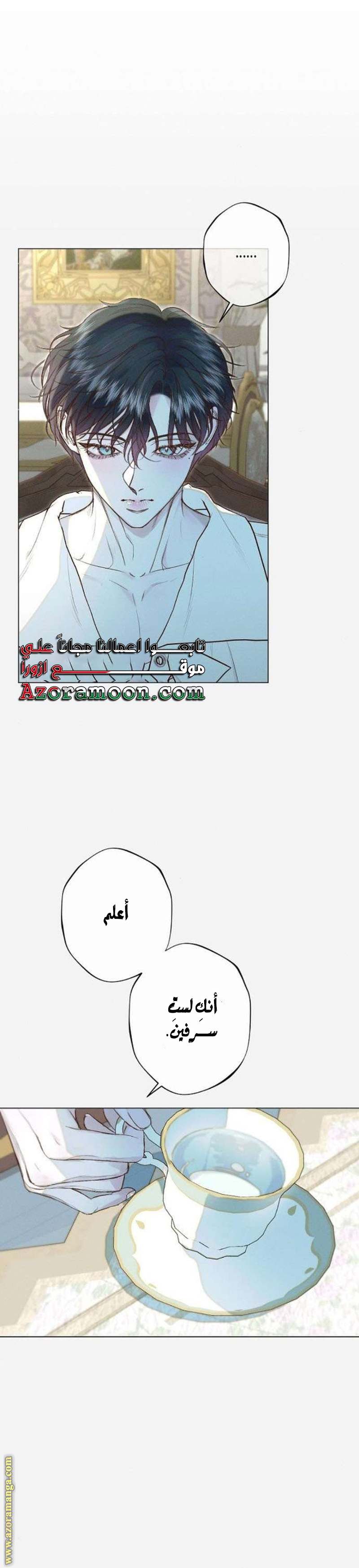 الصفحة 22