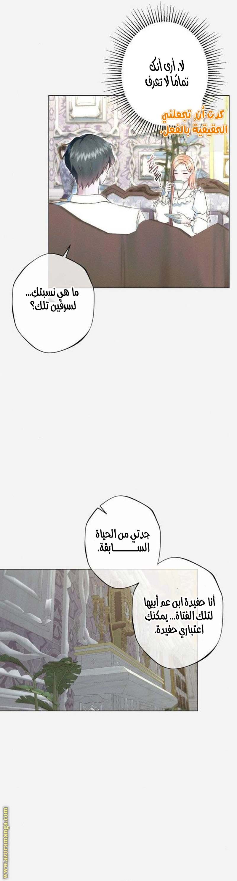 الصفحة 23