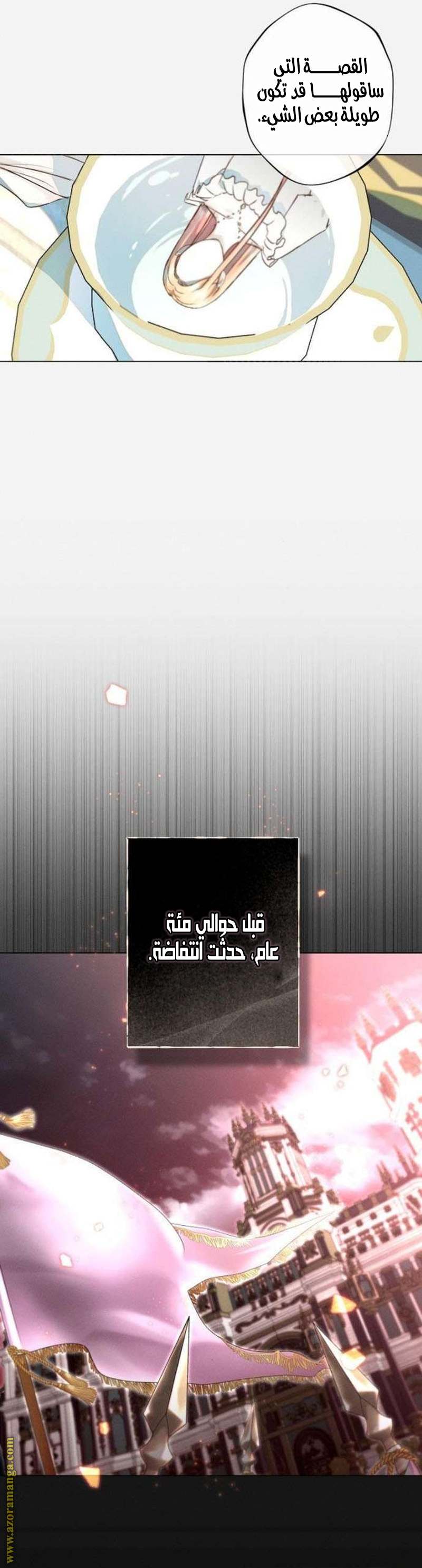 الصفحة 25