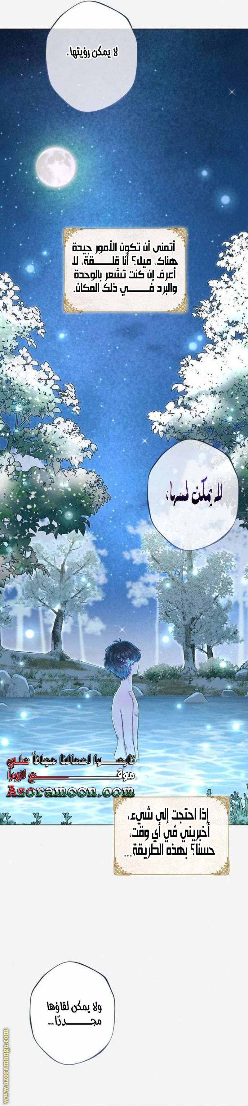 الصفحة 29