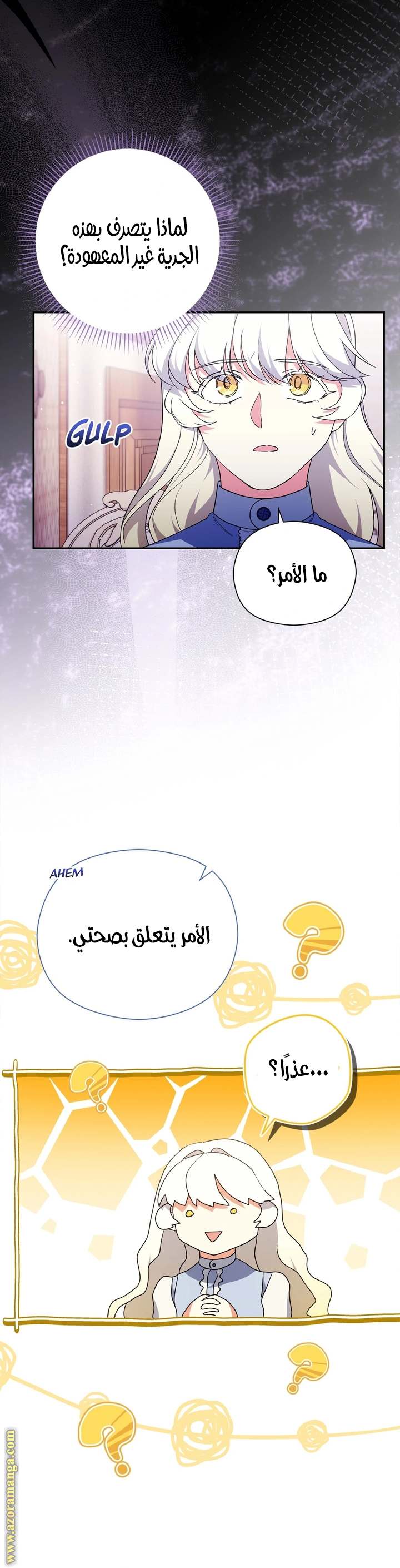 الصفحة 27