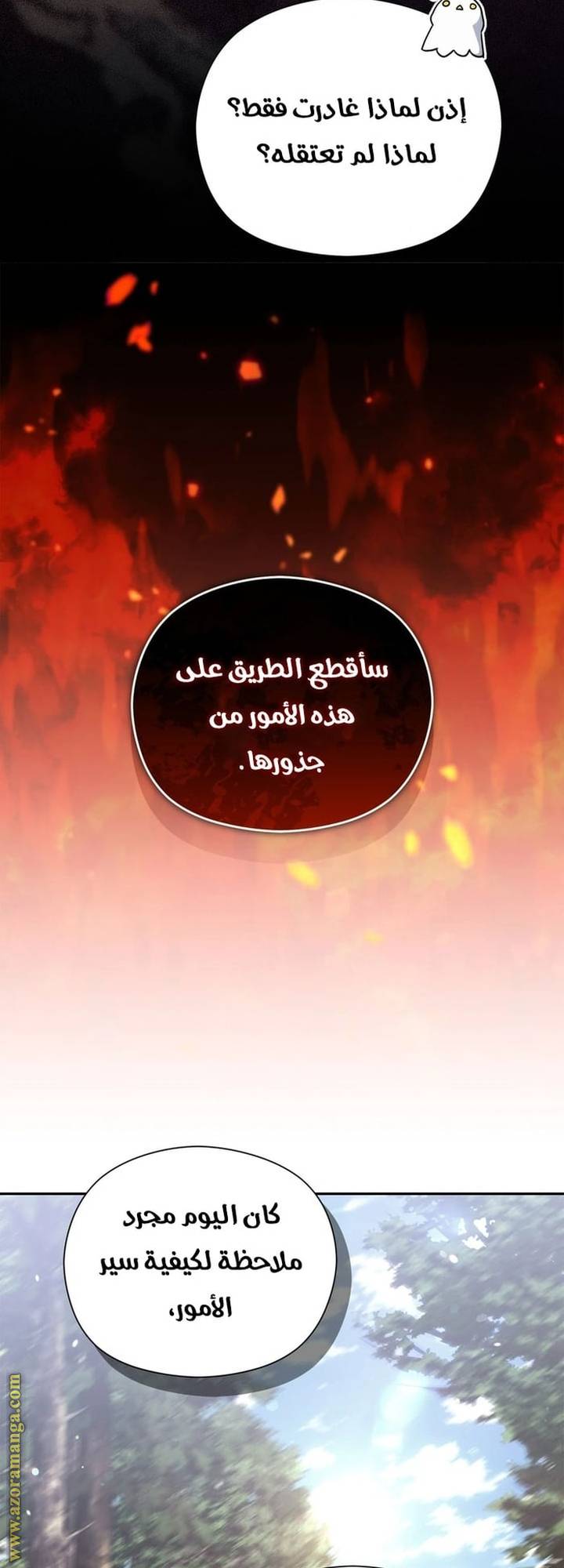 الصفحة 29