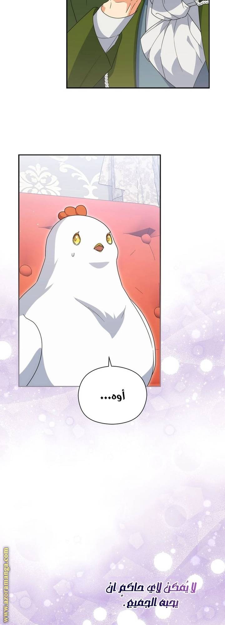 الصفحة 46