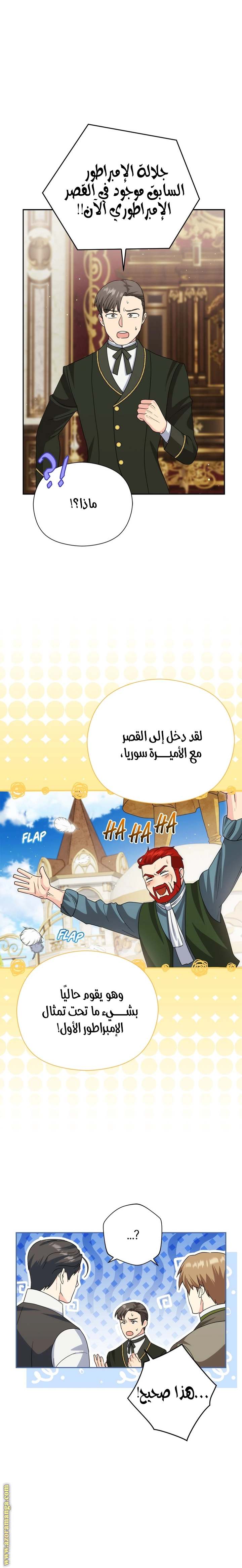 الصفحة 13
