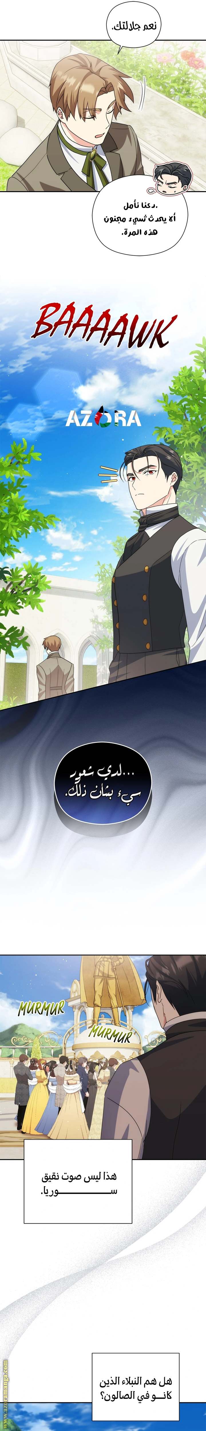 الصفحة 17