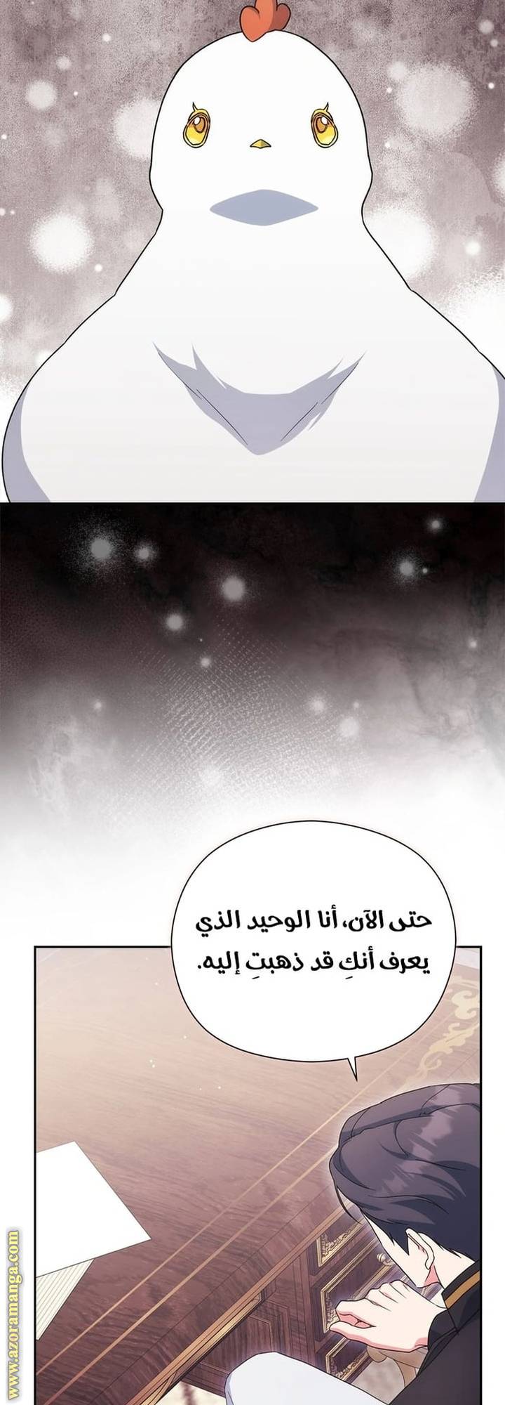الصفحة 21