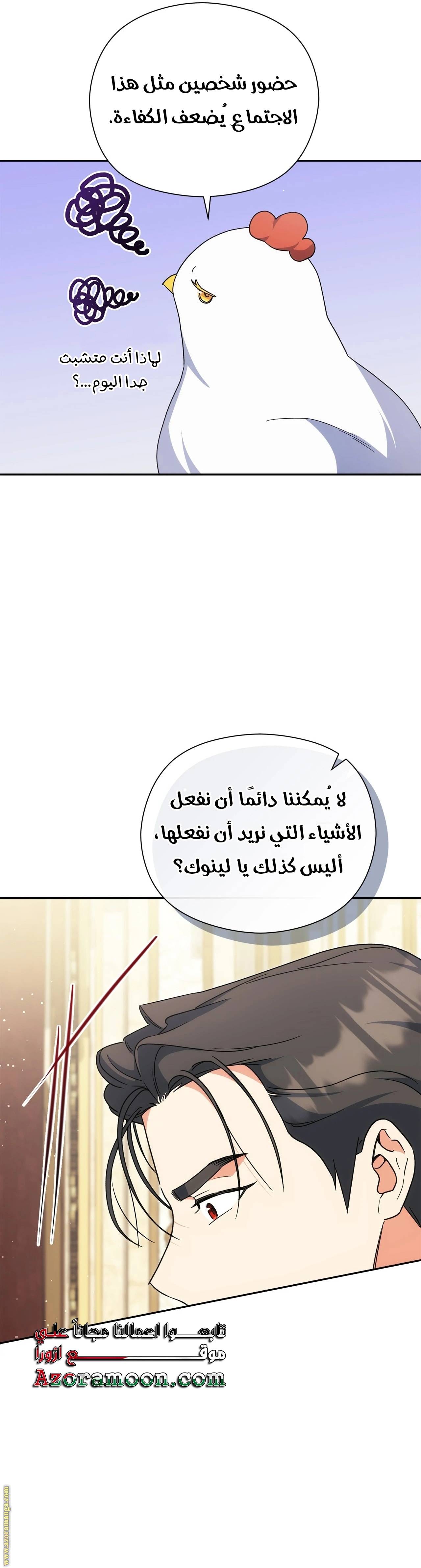 الصفحة 11