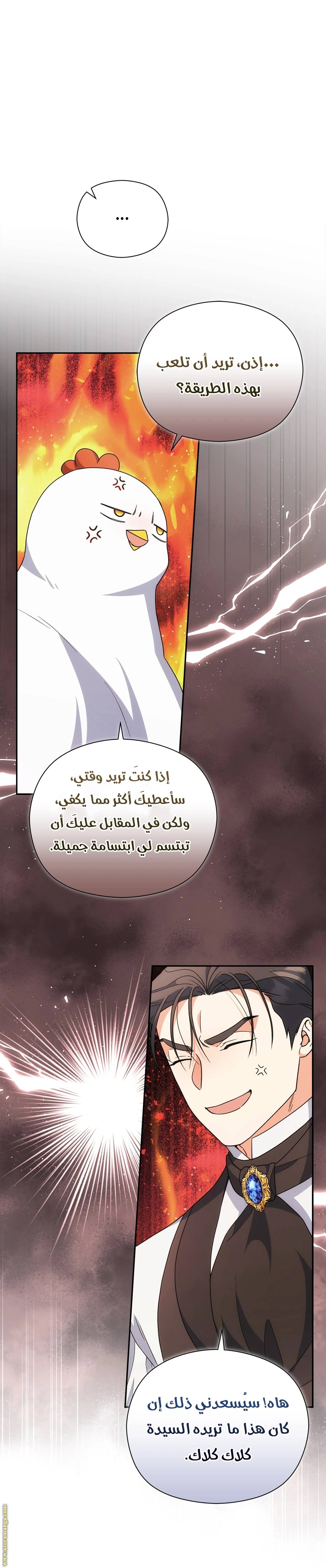 الصفحة 19