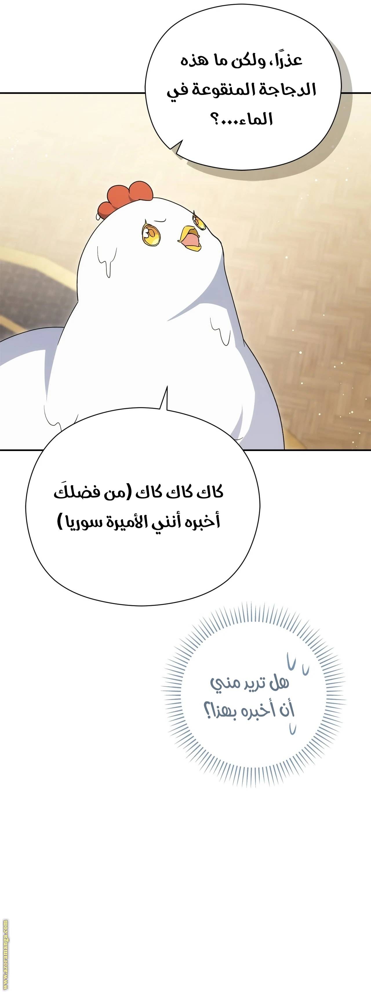الصفحة 24