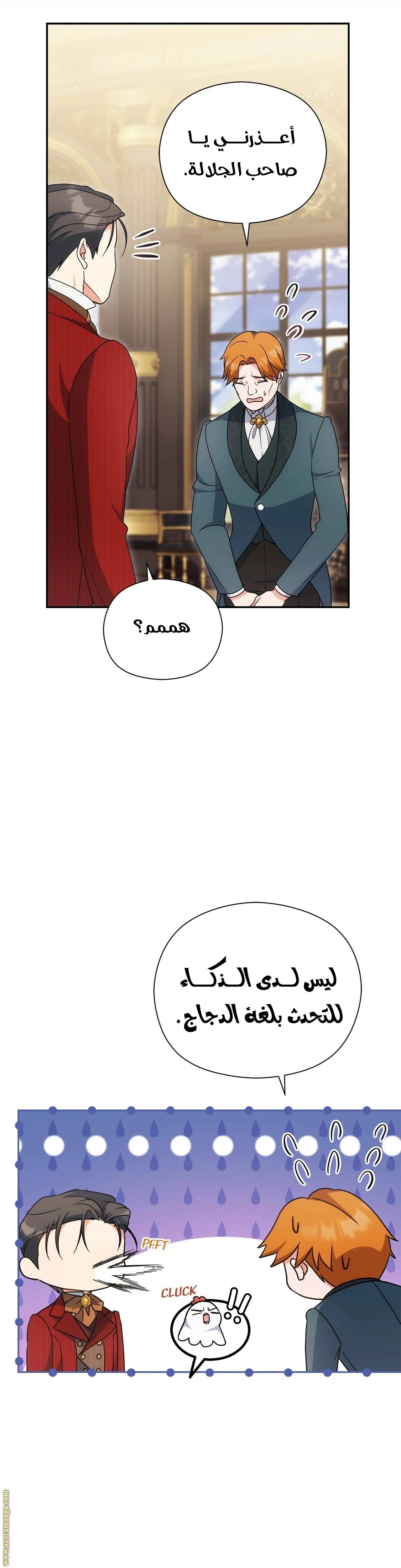 الصفحة 29