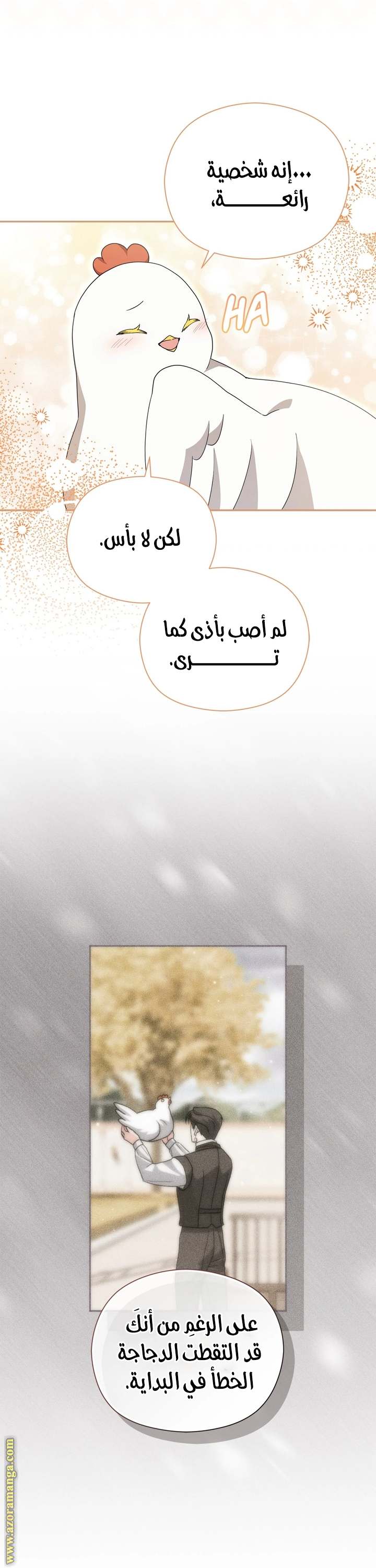 الصفحة 11