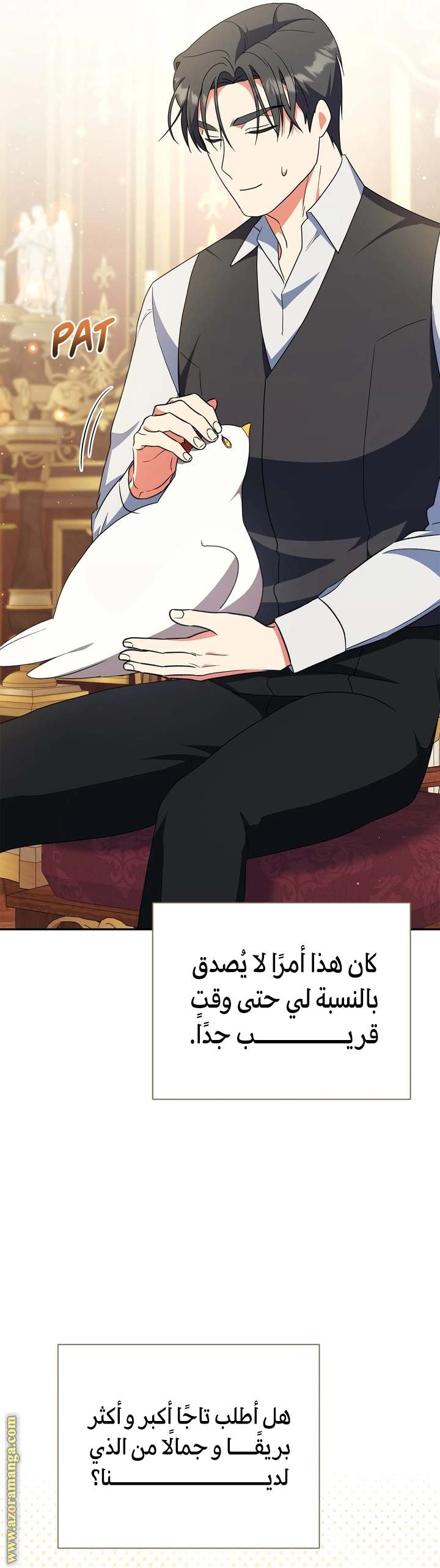 الصفحة 17