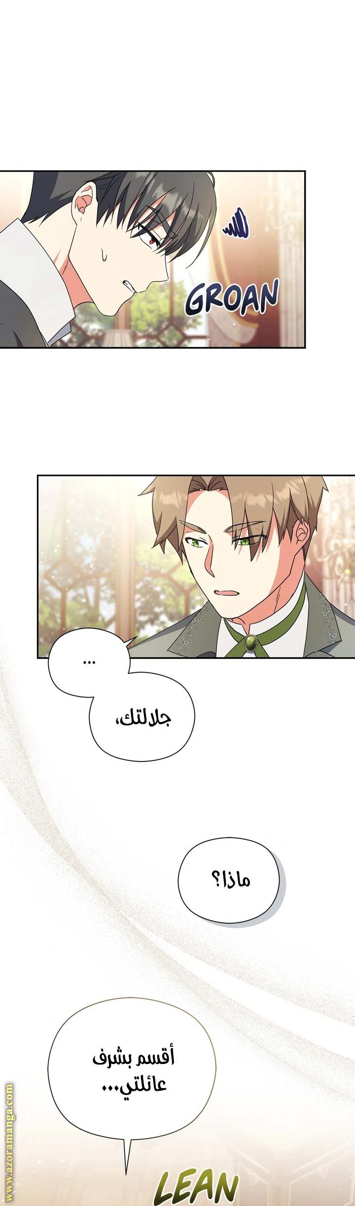 الصفحة 30