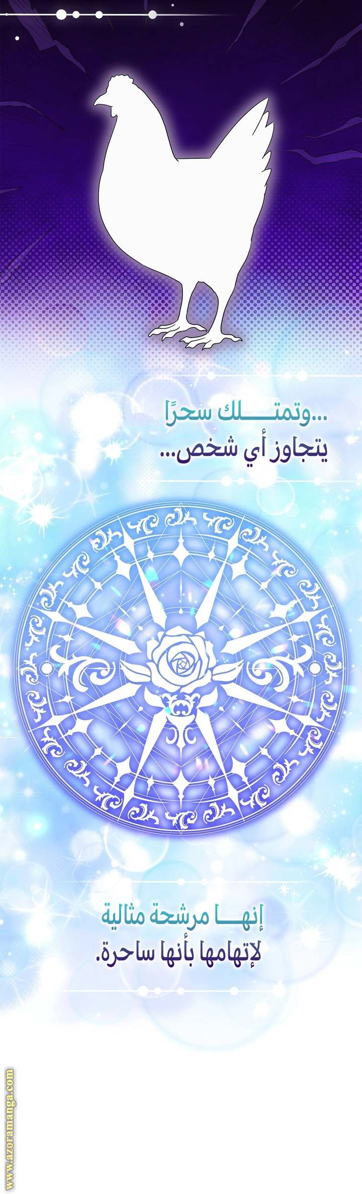 الصفحة 41